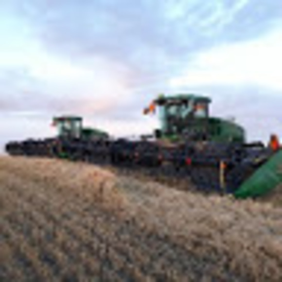 Meet your Posher, Toby - Picture 1 of 1